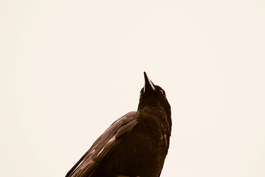 enterprise intelligence impact study