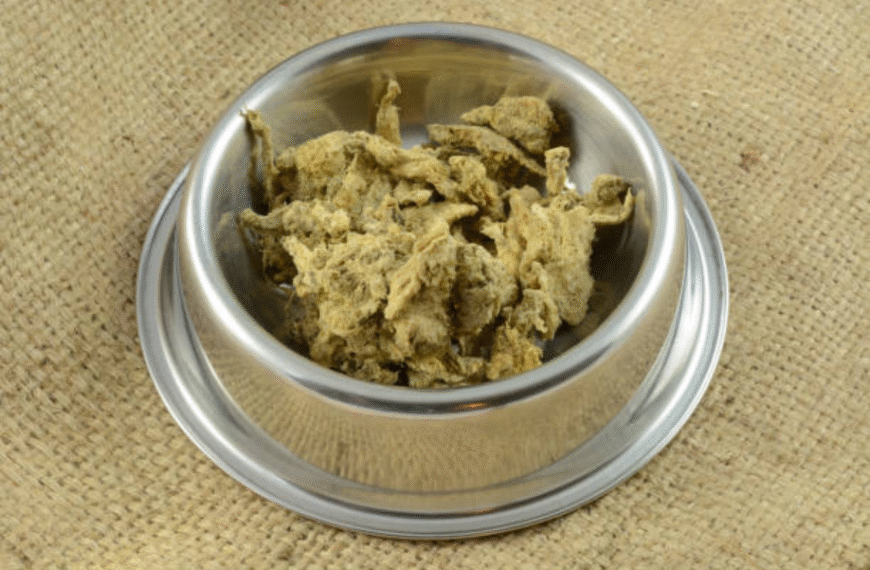 Natural Beef Lung Cat Treats – Wholesome, Healthy Rewards